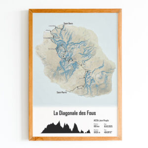 affiche diagonale des fous 2025