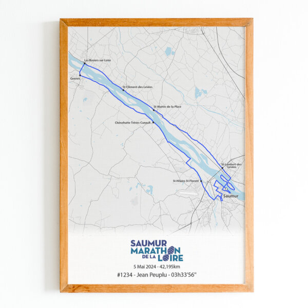 affiche marathon de la loire fleuve bleu
