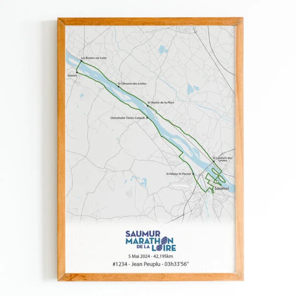 affiche marathon de la loire fleuve vert