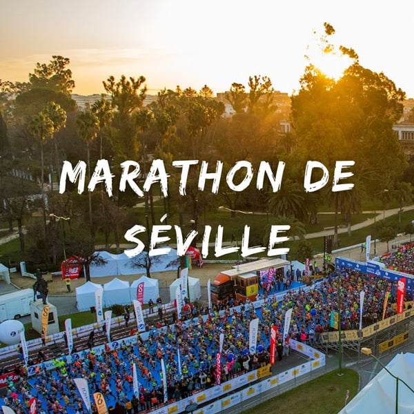 Parcours Du Marathon De Séville 2024 The Post Trace