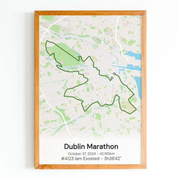 poster marathon de dublin