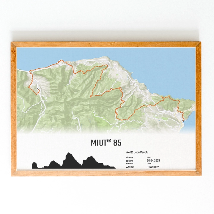 affiche miut-2025-85