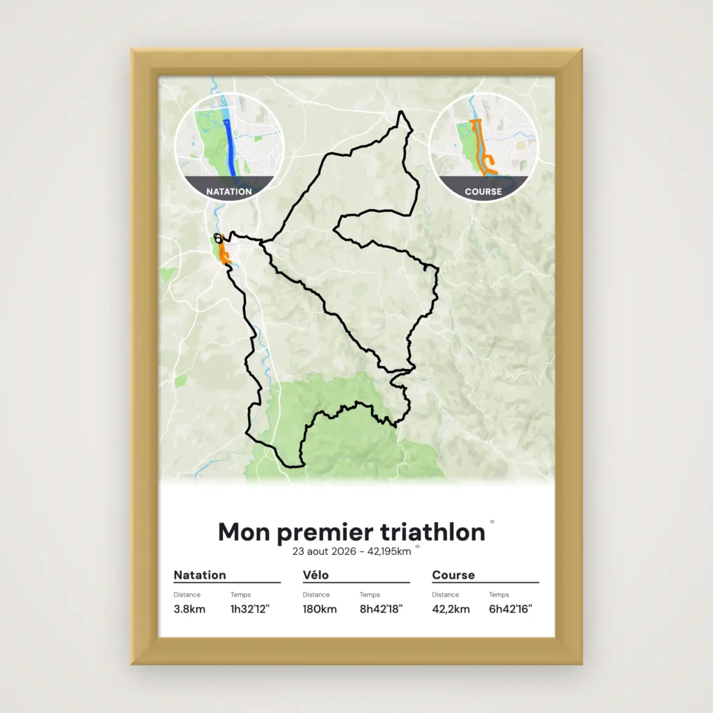 Affiche Triathlon de Vichy (XXL)