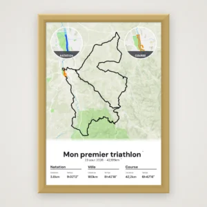Affiche Triathlon de Vichy (XXL)