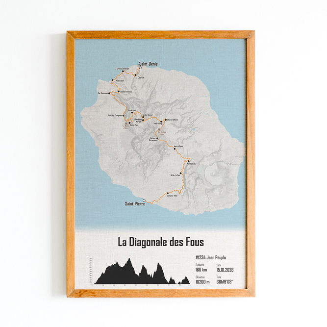 La Diagonale des Fous 11 Affiche Diagonale des fous 2026